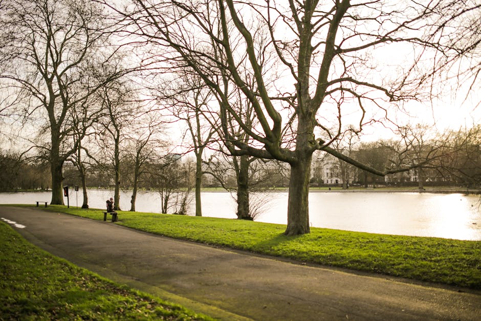 A small, open-sided pavilion with a dark, domed roof and white support columns is situated on a brick platform in the middle of a well-maintained grassy area within Dulwich Park. Surrounding the pavil